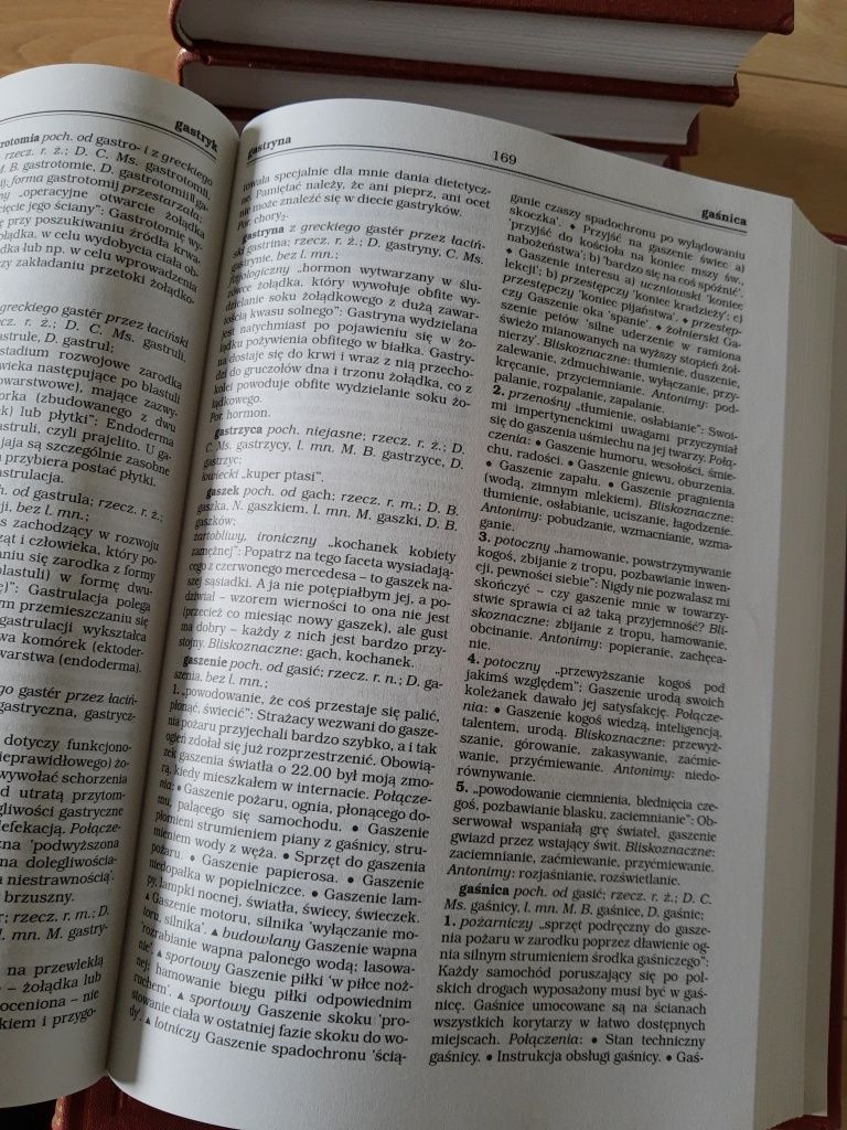 Praktyczny słownik współczesnej polszczyzny wydawnictwo Kurpisz
