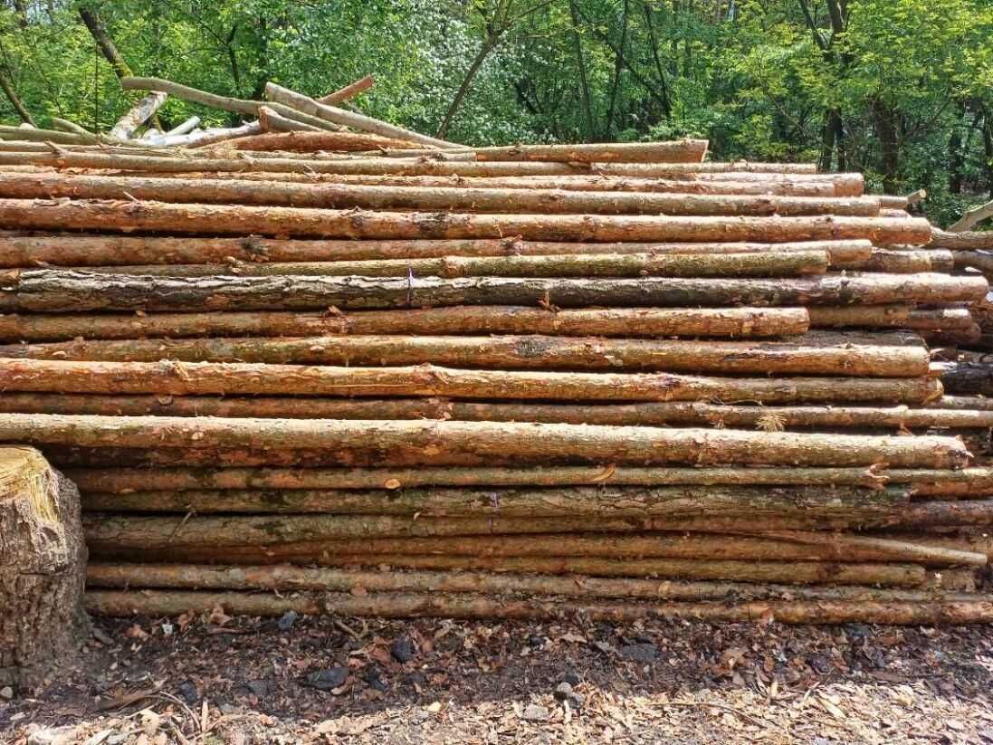 Stemple budowlane drewniane 3m.