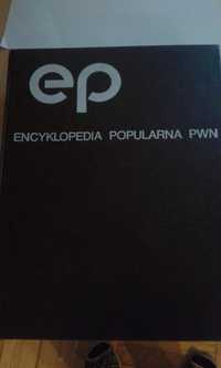 Encyklopedia popularna PWN