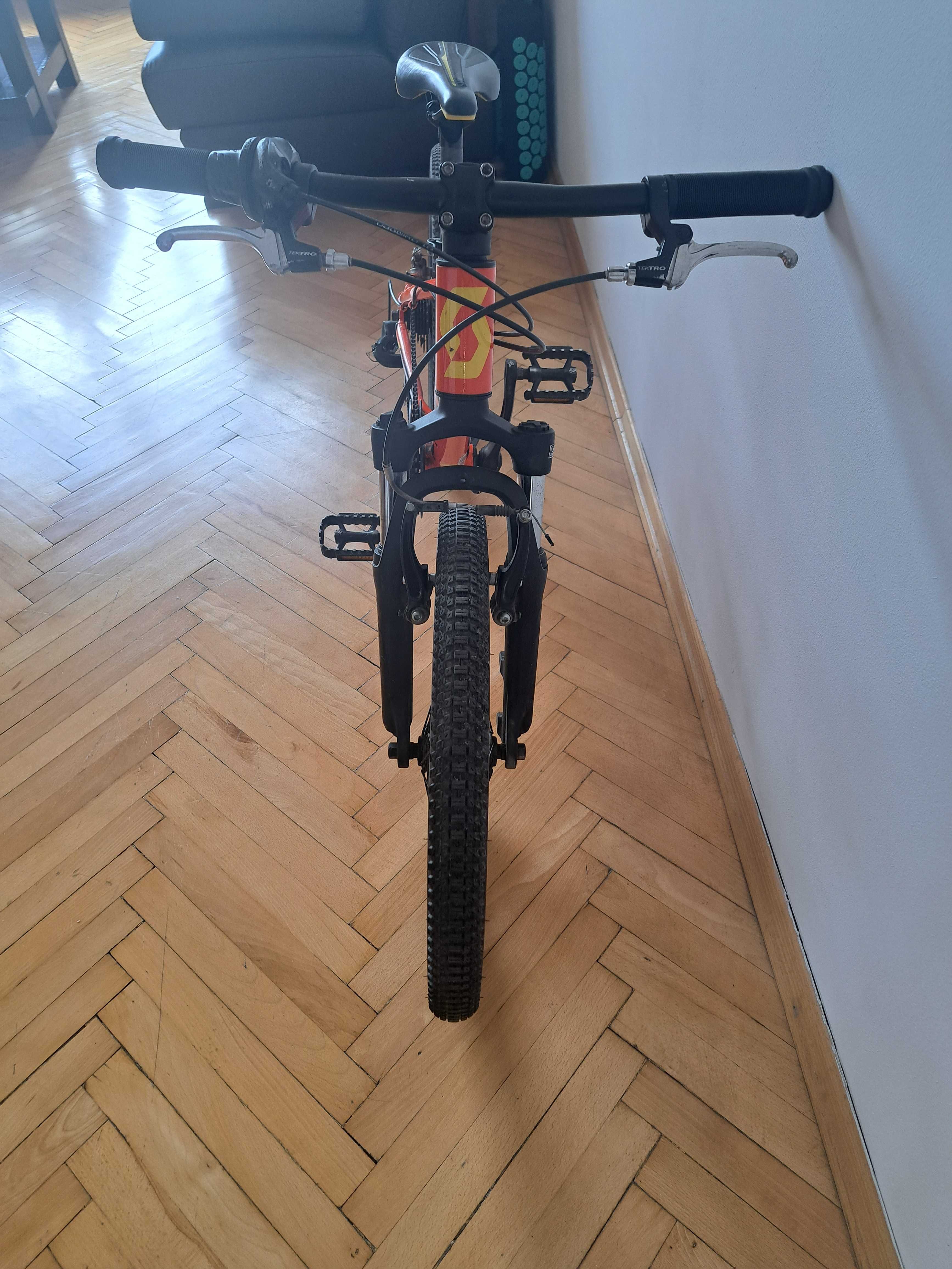 Rower Scott Scale 20"