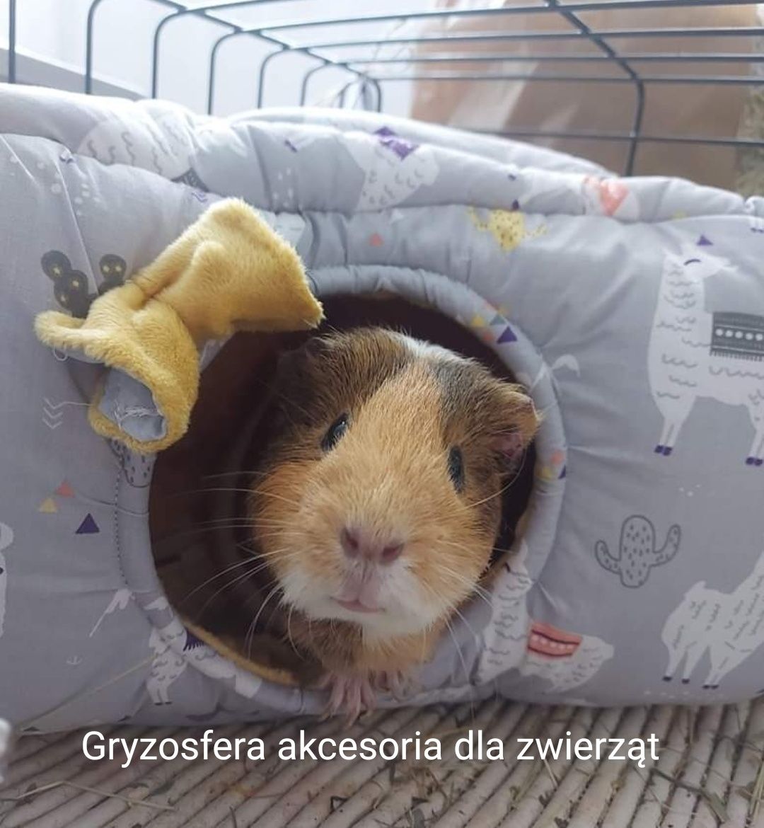 Nowe akcesoria gryzonia świnki szynszyla szczura koszatniczki jeża