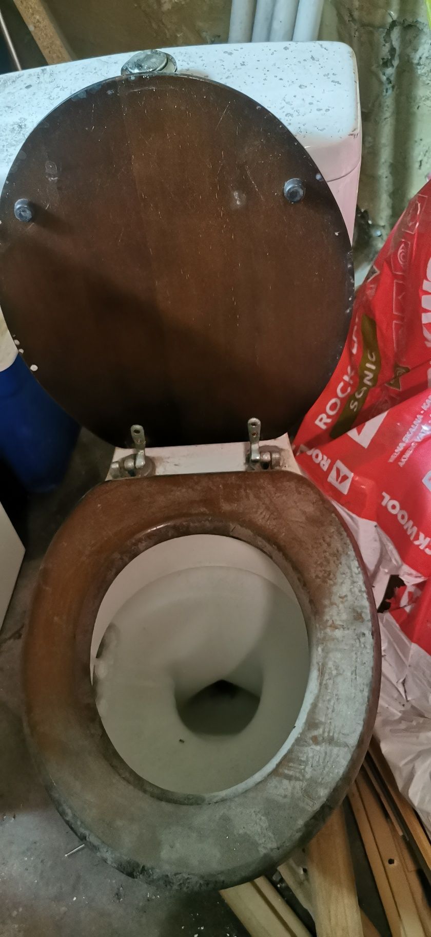 muszla klozetowa ubikacja wc