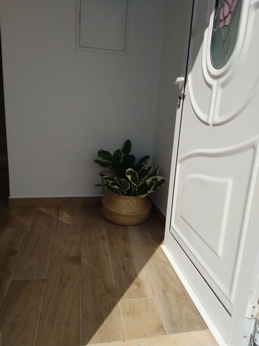 Apartamento Villamar T1