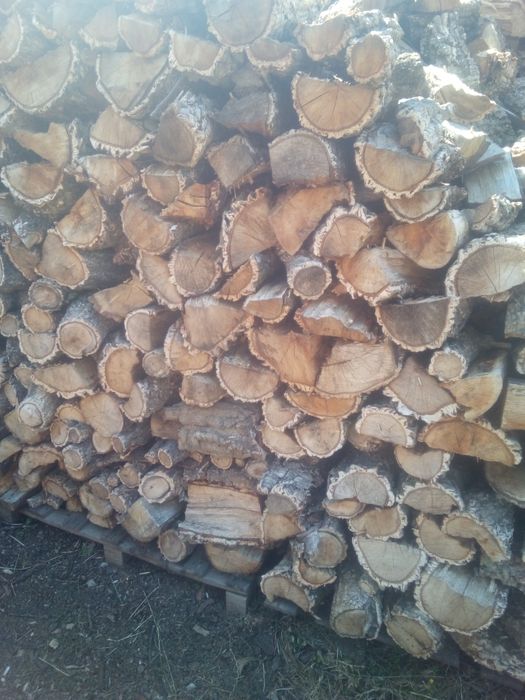 Lenha Carvalho e sobreiro