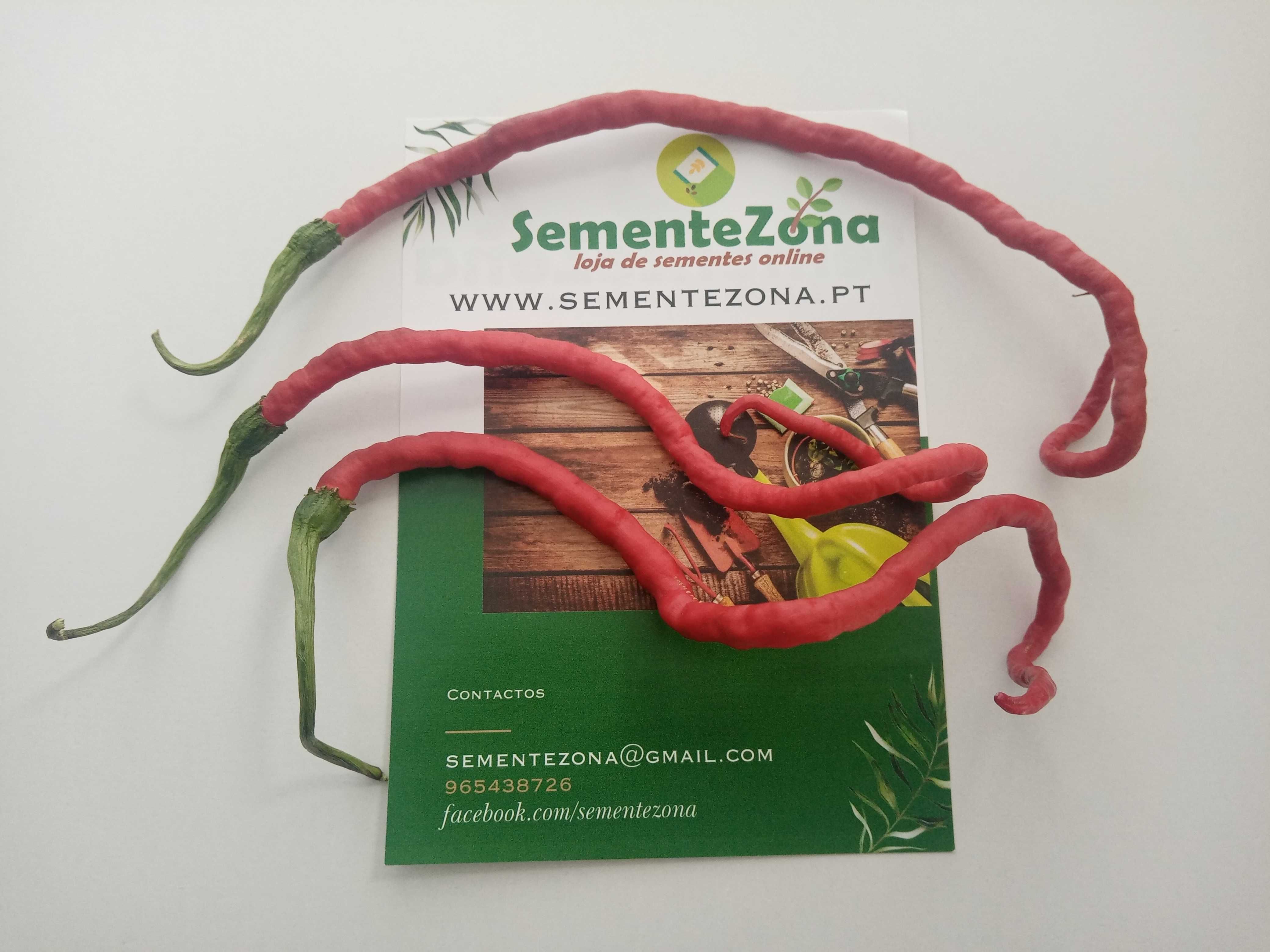 10 sementes de Pimenta Thunder Mountain Longhorn