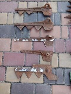 Борона зубова маленька райборінка