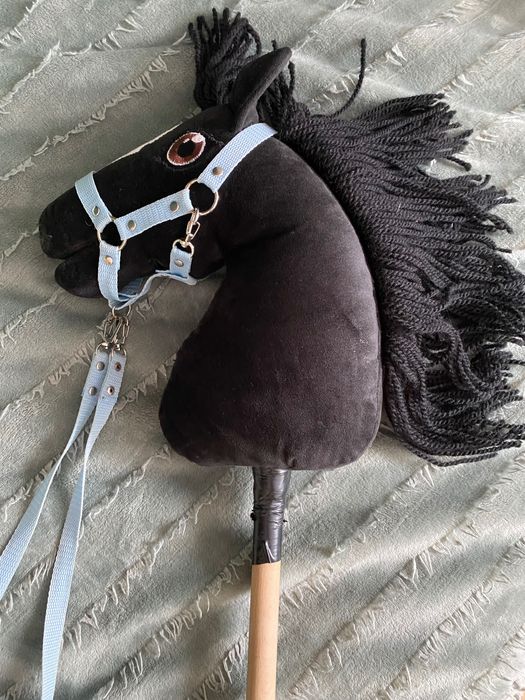 Hobby      horse