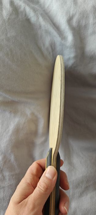 Nittaku Acoustic Inner Carbon Revision G ST