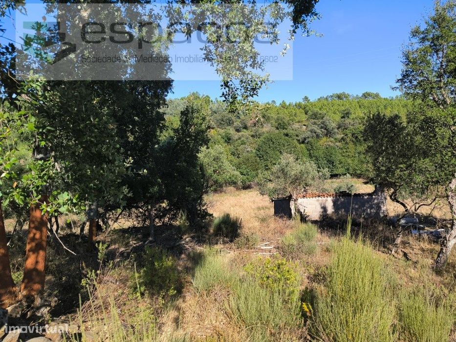 Quinta do Valouro - Sobral do Campo