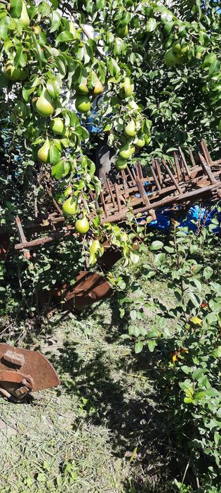 Продам трактор ЮМЗ 6 1984 рік з навісним в робочому стані