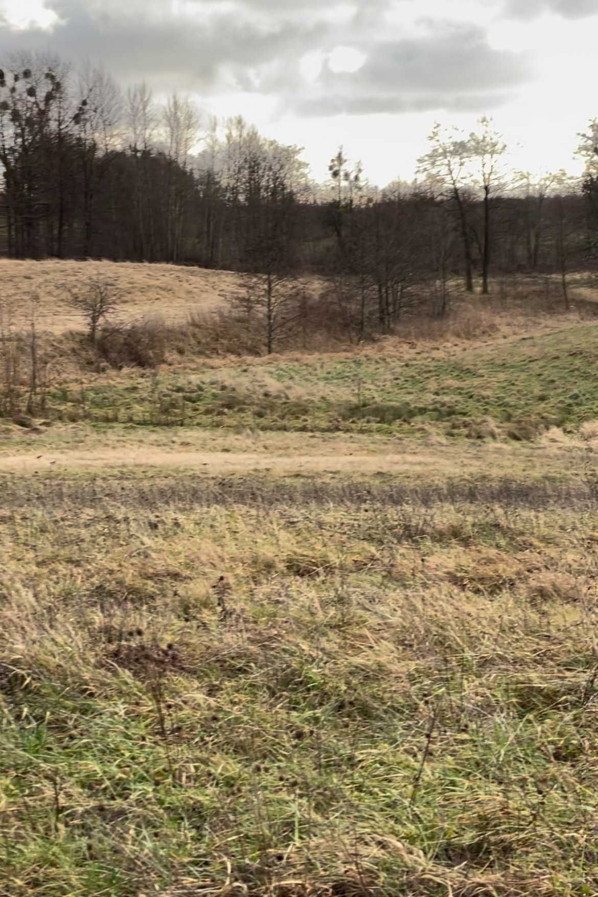 Działka budowlana WARUNKI  las jezioro siedlisko Mazury Warmia Kaszuby