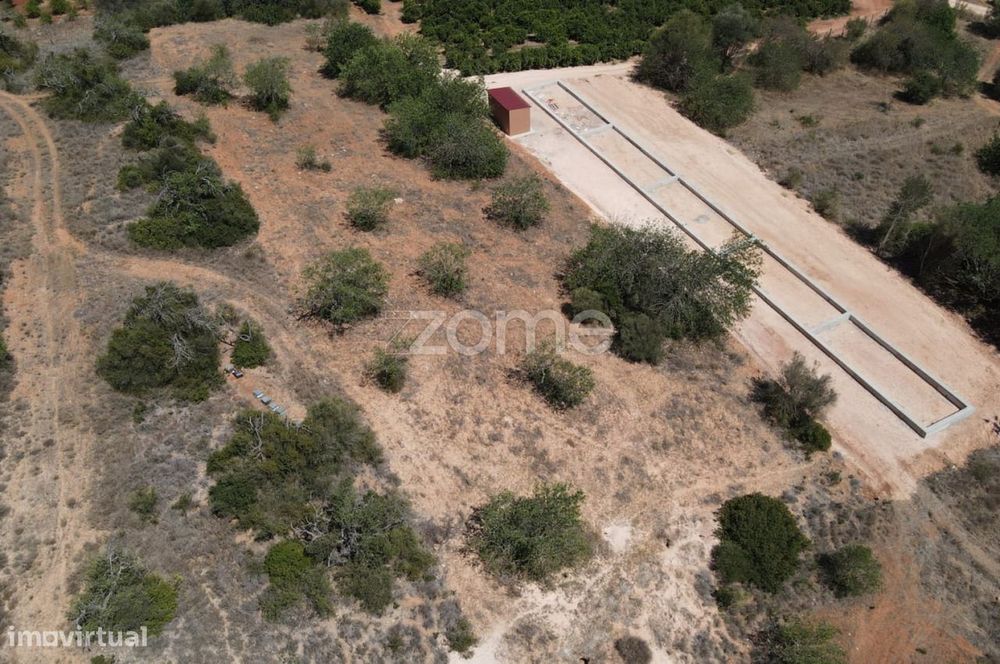 Dois Terrenos rústicos em Messines, Alfarrobeiras c/ 2.080m2