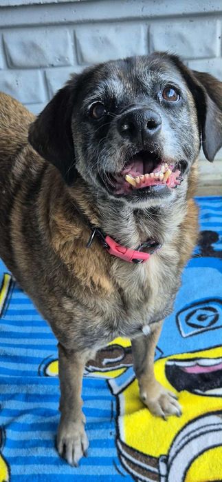 Wesoły chłopczyk szuka kochającego domu