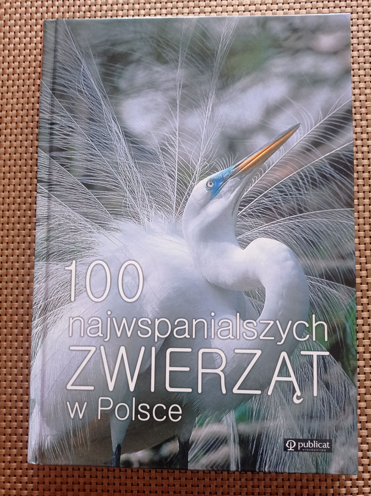 Książka album 100 najwspanialszych zwierząt w Polsce