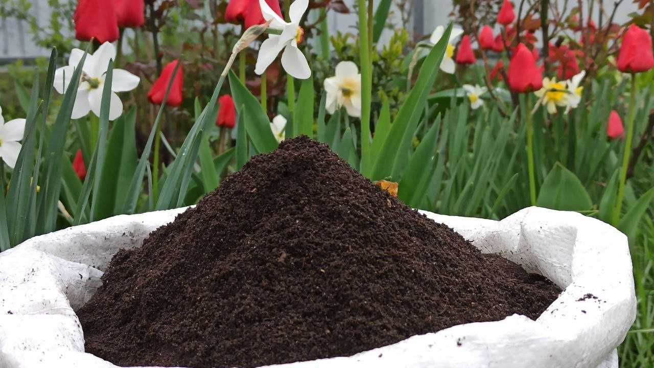 Біогумус вермікомпост просіяний добриво для саду городу 30 кг у мішку