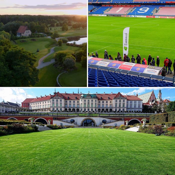 Trawa Regeneracyjna Sportowa Emeralld 10Kg Znaczny I Natychmiastowy