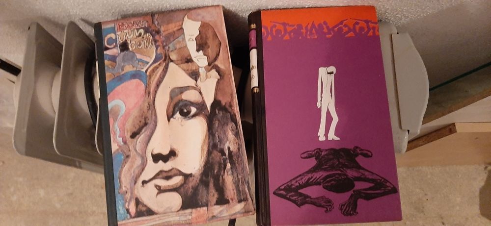 Livros sabado a noite domingo d manhã e Hospede de Job Entreg Alfragid