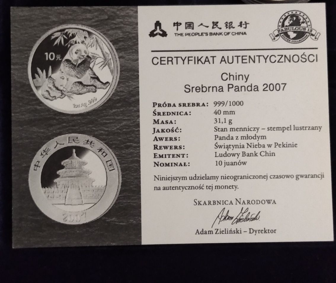 10 yuan Srenrna Panda 2007, Chiny