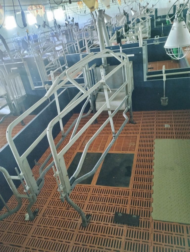 Kojce porodowe, wyposażenie
