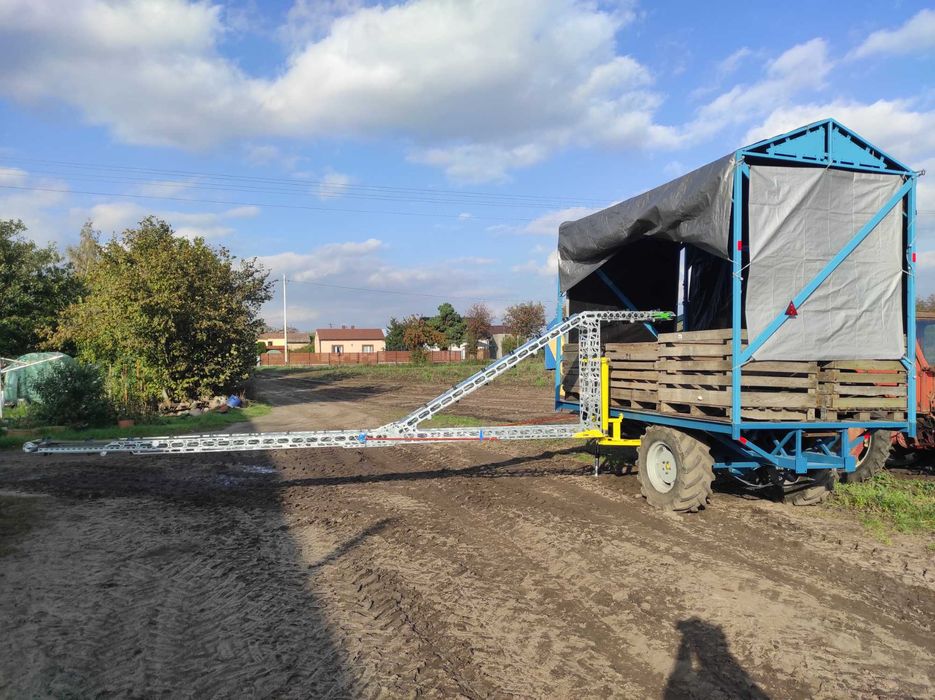 Przyczepa laweta do zbioru brokuła kalafiora platforma taśmociąg