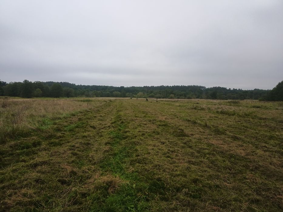 koszenie trawy.mulczowanie ,rekultywacja oczyszczanie terenów rolnych