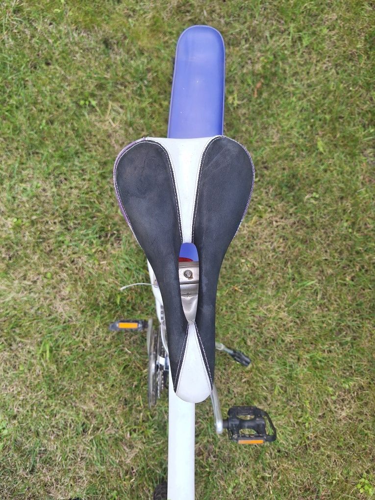 Rower Firmy GIANT "Taffy"