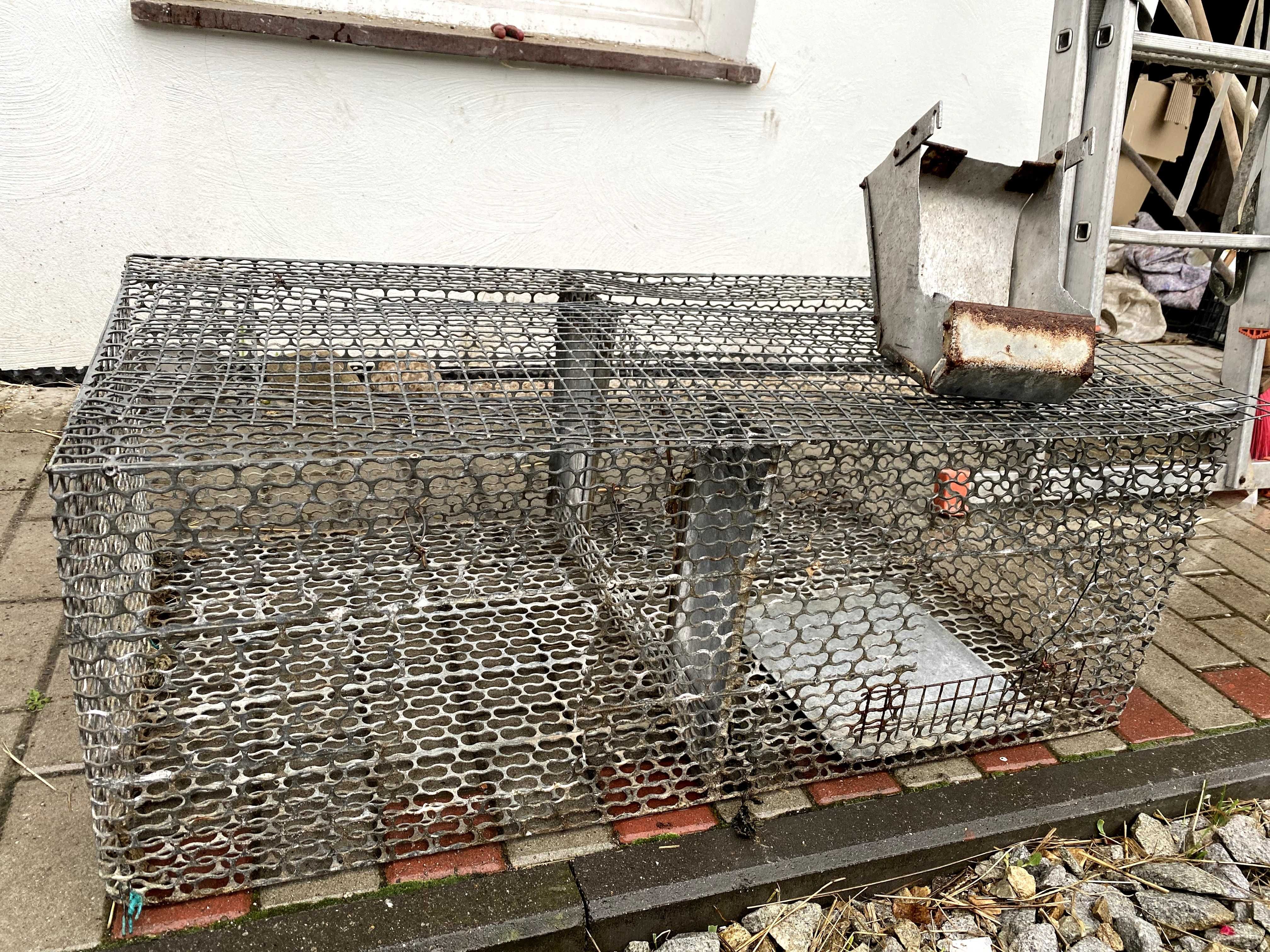 Klatki dla królików