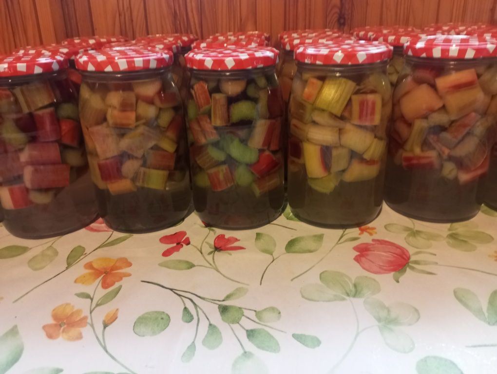 Naturalnie Kiszona Rzodkiewka, Kiszonki 2025