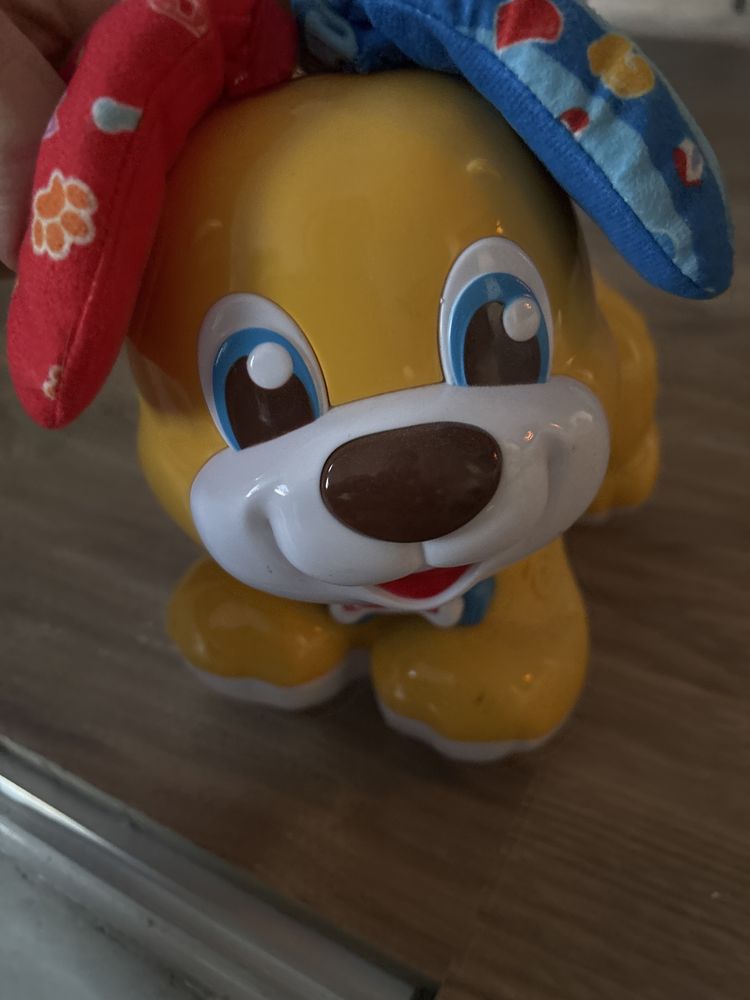 Caozinho faz cucu