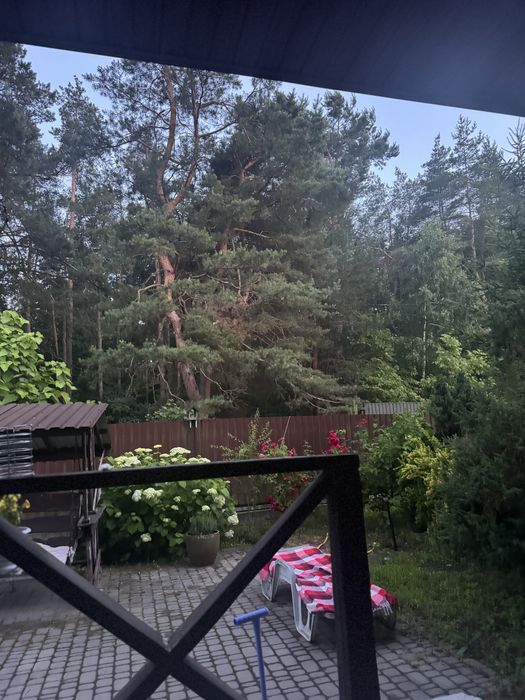 Здам будинок  в лісі  з банею