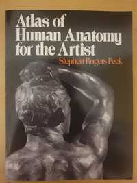 Atlas of Human Anatomy for the Artist