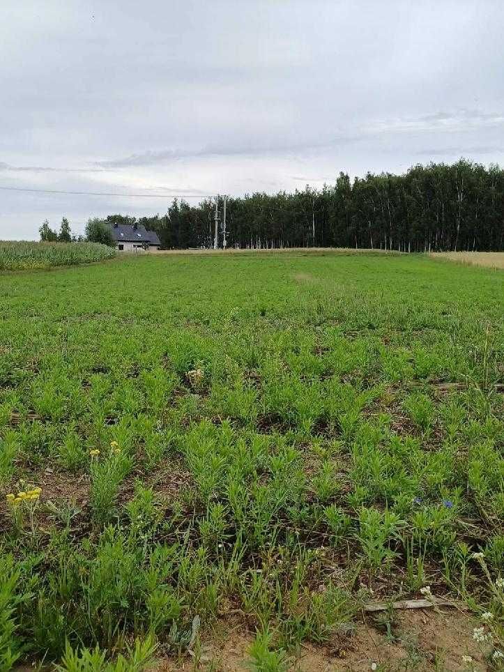 Działka budowlana