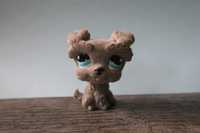 Figurka Littlest Pet Shop LPS piesek sznaucer pies