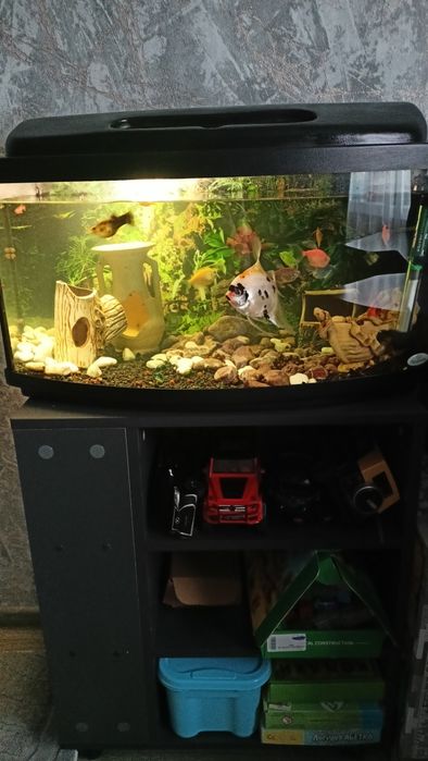 Продам аквариум на 60 л со всем .