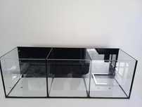 Aquário 60x20x20 dividido em 3 novo