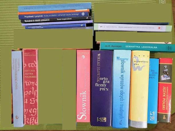 Słownik książka językoznawstwo polonistyka filologia