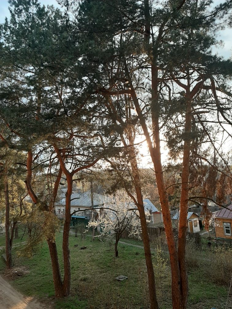 Квартира однокімнатна