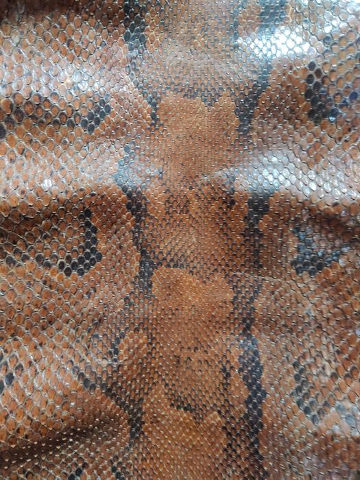 Pele de cobra com 1 metro