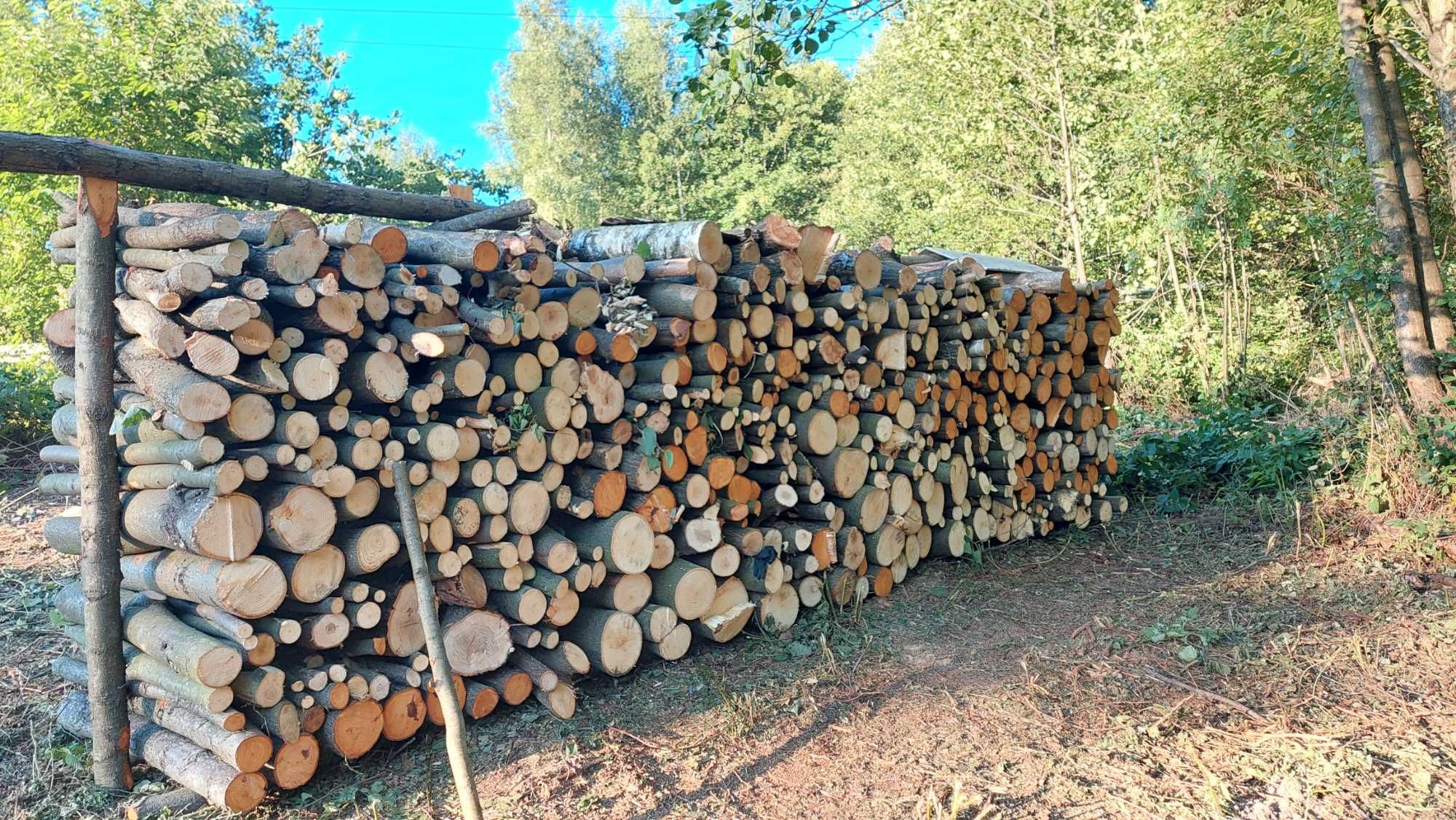 Gałęzie, do rebaka, za darmo, opał
