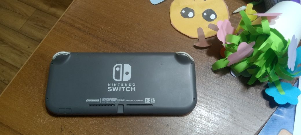 Nintendo switch lite