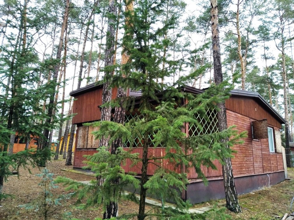 Sielpia domki 3pok 28/29.07 - 1 noc TANIO i 24/31.08 na tydzień