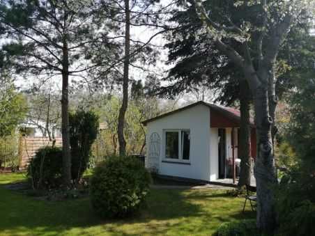 Działka ROD Białołęka Dworska 300m2 SPORO CIENIA/BRAK GAPIÓW/BORÓWKI