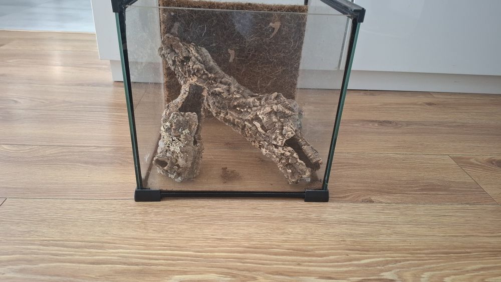 Terrarium Reptiplanet 30x30x30