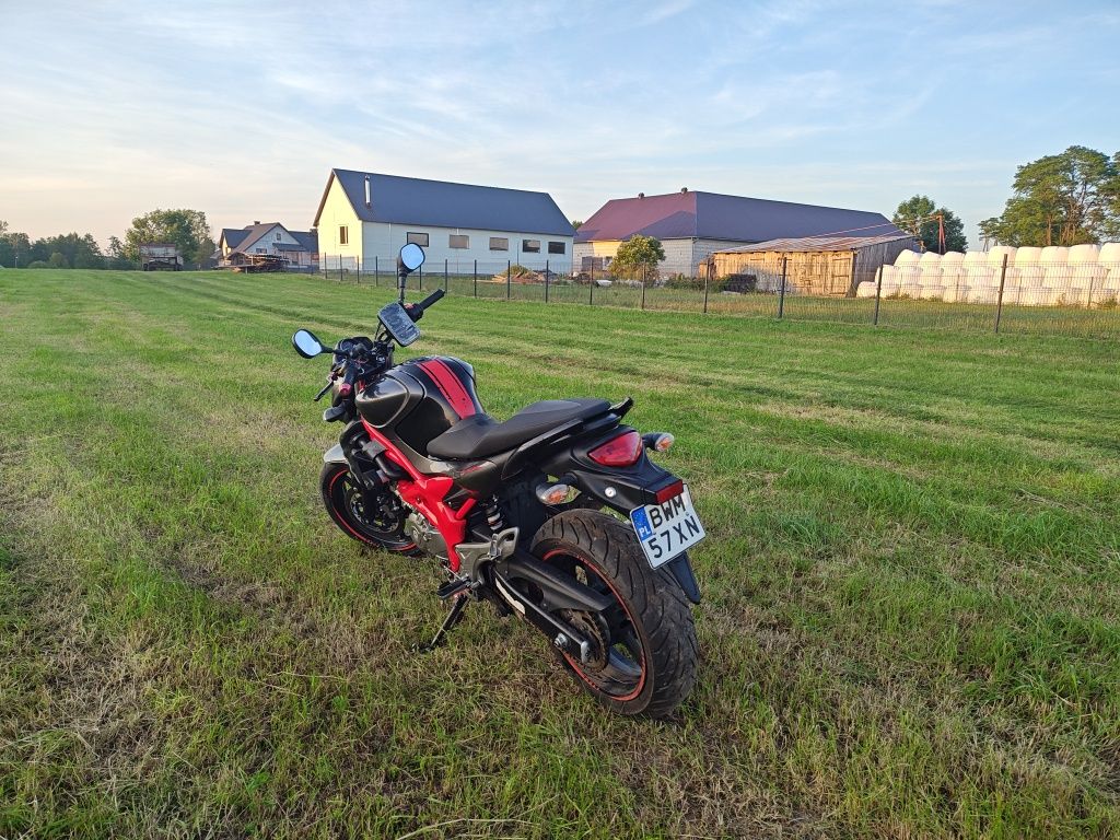 Suzuki Gladius SFV 650