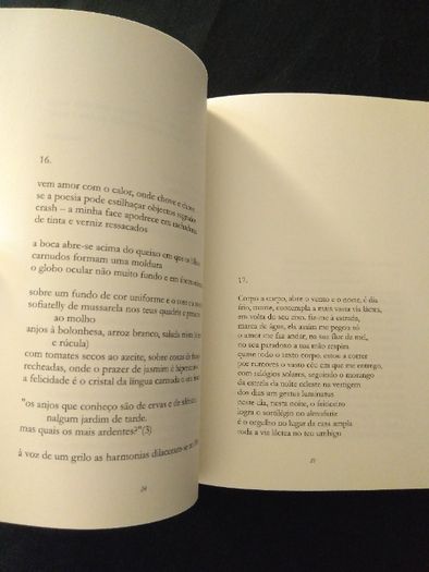 Raro - José Gil - Crash - Poesia
