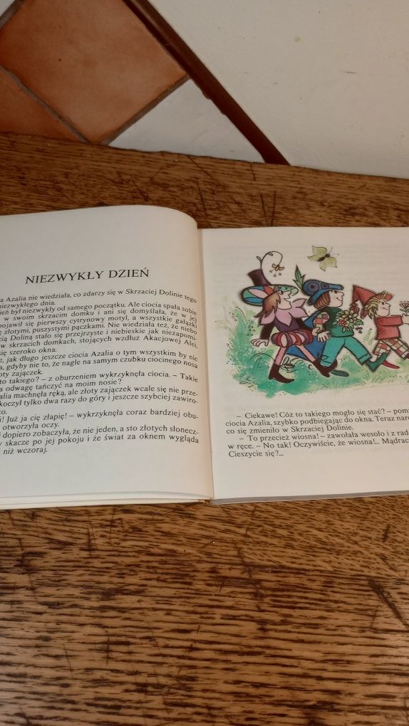 Tajemnica Skrzaciej Doliny. Barbara Eysymontt