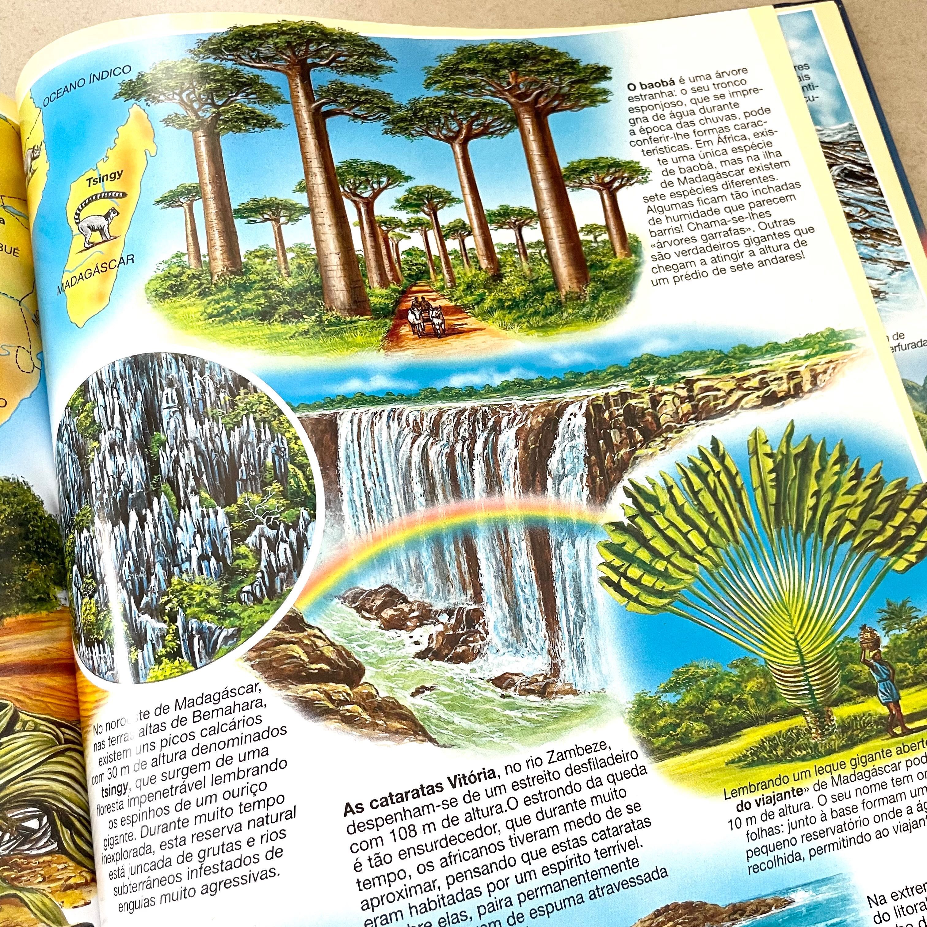 Livro Juvenil - Atlas Da Natureza, 2000