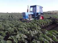 Продам трактор ЮМЗ 6 з двигуном СМД-15Н з навісний обладнанням