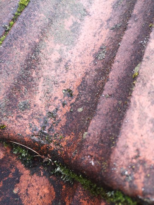 Malowanie i odnawianie dachówek, pokryć i dachów, malowanie dachów