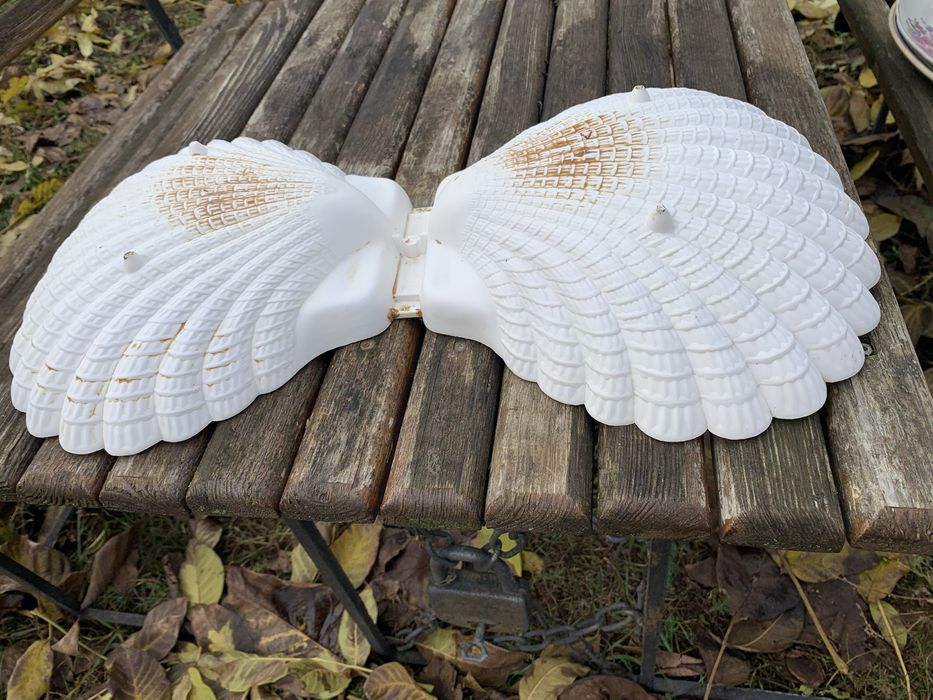 Ваза ракушка для фруктов и конфет